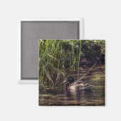 Aan de rand van Pond Magneet (Voorkant / Achterkant)