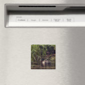 Aan de rand van Pond Magneet (Insitu (Vaatwasser))
