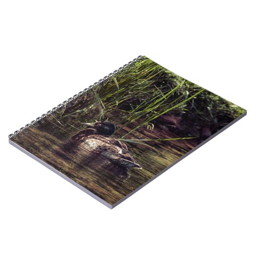 Aan de rand van Pond Notitieboek (Linkerzijde)