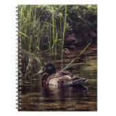 Aan de rand van Pond Notitieboek (Voorkant)