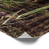 Aan de rand van Pond Poster (Hoek)