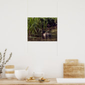 Aan de rand van Pond Poster (Keuken)