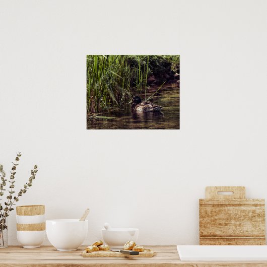 Aan de rand van Pond Poster (Keuken)