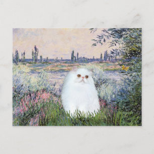 Aan de Seine - Witte Perzische kitten #49 Briefkaart