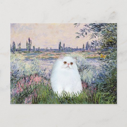 Aan de Seine - Witte Perzische kitten #49 Briefkaart (Voorkant)