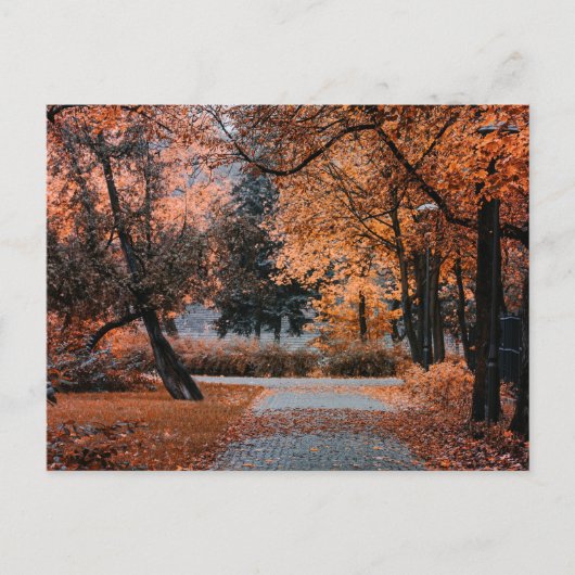 AAN DE VOETEN VAN DE HERFST BRIEFKAART (Voorkant)