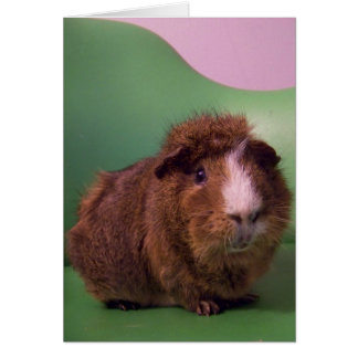 Aan een vooraanstaand meneer