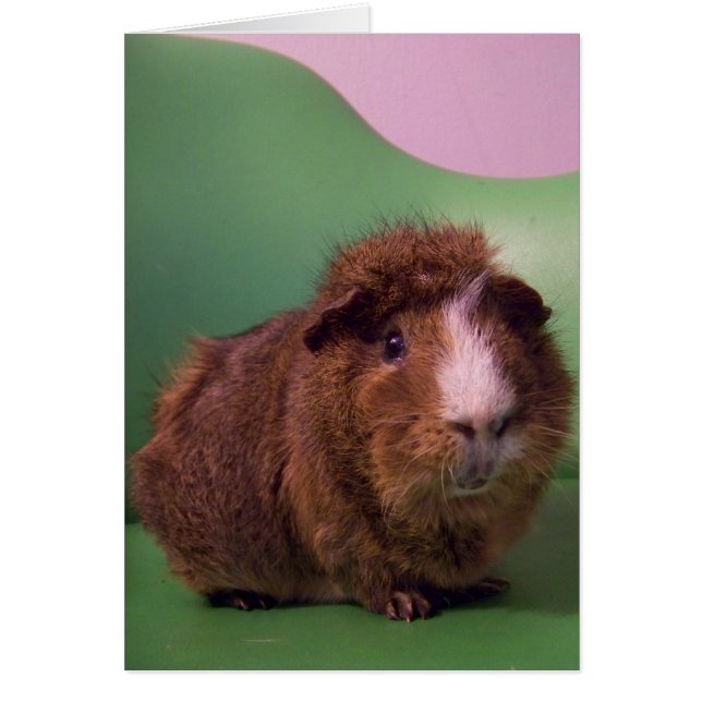 Aan een vooraanstaand meneer (Voorkant)