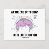 Aan het eind van de dag voel ik me als kwallen briefkaart (Voorkant)