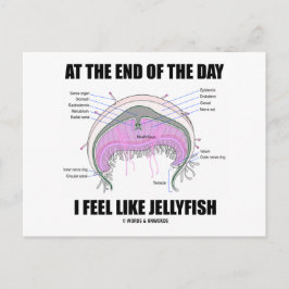 Aan het eind van de dag voel ik me als kwallen briefkaart