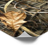 Aan het vissen poster (Hoek)