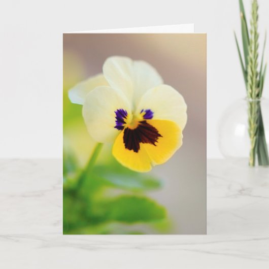 Aan je denkend Kanker Ondersteuning Kaart (Voorkant)