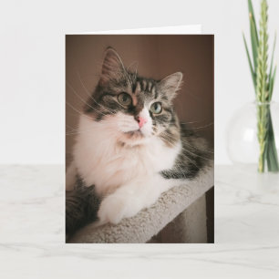 Aan jou denken op je verjaardag (Kaart) Kaart