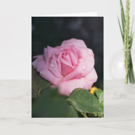 Aan jou denken - Pink Rose Kaart