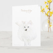 Aan jou denken: schattige witte kat kaart (Gele Bloem)