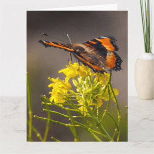Aan jou denkend Milbert's Schildervleugel  Kaart