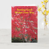 Aan jou gedacht Rode Herfstbladeren Boom Kaart (Gele Bloem)