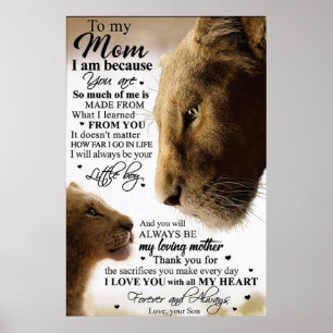 aan mijn mooie moeder, moederdag cadeautjes poster