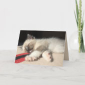 Aan u denkend slapende Siamese kitten foto Kaart (Voorkant)