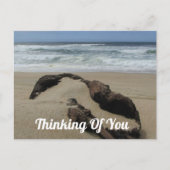 Aan u gedacht Zand Drijfhout Strand Houd u goed Briefkaart (Voorkant)