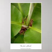 Aanbestedingen Poster (Voorkant)