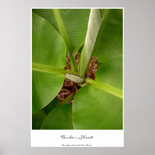 Aanbestedingen Poster