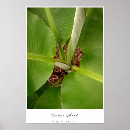 Aanbestedingen Poster (Voorkant)