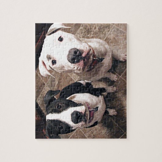 aanbiddelijke pitbull puppy's honden legpuzzel (Verticaal)