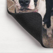 aanbiddelijke pitbull puppy's honden muismat (Hoek)
