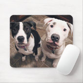 aanbiddelijke pitbull puppy's honden muismat (Met muis)