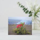 Aanbieding aan Pele, Hawaiian Volcano Goddess Briefkaart (Staand voorkant)