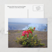 Aanbieding aan Pele, Hawaiian Volcano Goddess Briefkaart (Voorkant / Achterkant)
