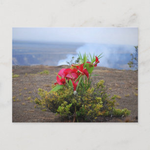 Aanbieding aan Pele, Hawaiian Volcano Goddess Briefkaart