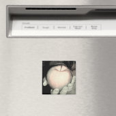 Aanbod Magneet (Insitu (Vaatwasser))