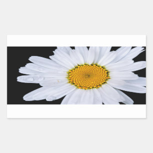 aanbod rechthoekige sticker