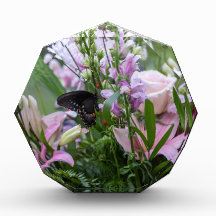 Aanbrengen van de ventilator met de vlinder