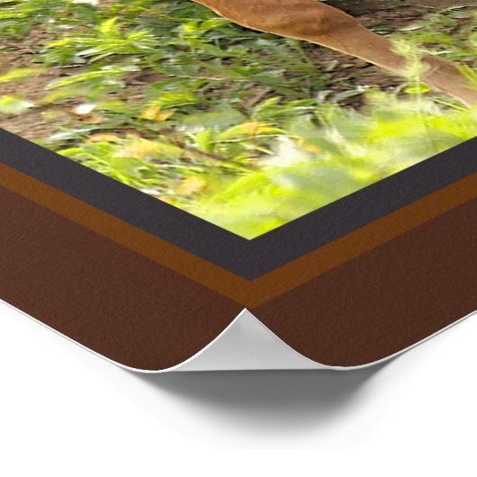 Aandacht Poster (Hoek)