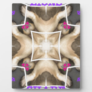 Aandeel van Lion Fotoplaat