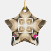 Aandeel van Lion Keramisch Ornament (Voorkant)