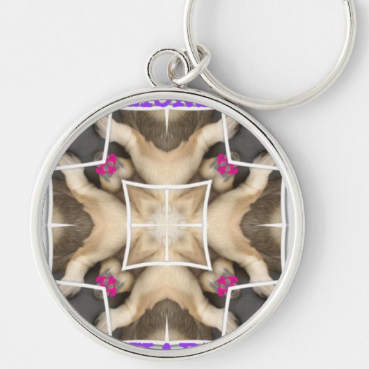 Aandeel van Lion Sleutelhanger (Voorkant)