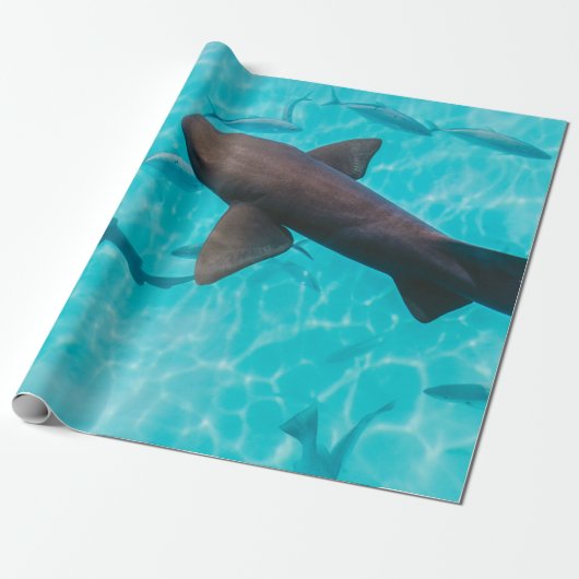 AANDELEN OP HET WATERLICHAAM CADEAUPAPIER (Uitgerold)