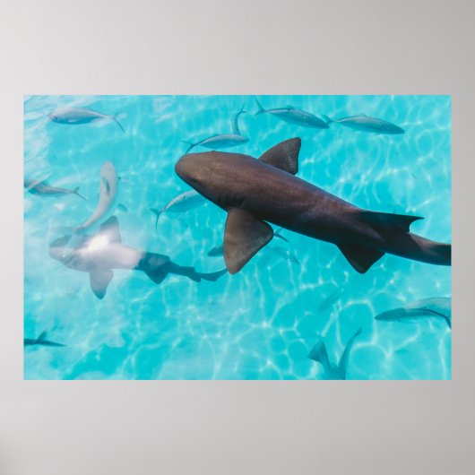 AANDELEN OP HET WATERLICHAAM POSTER (Voorkant)