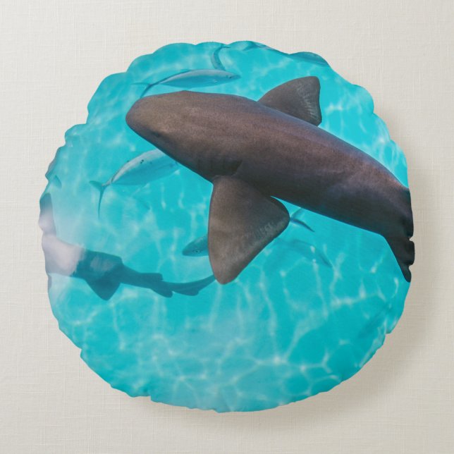 AANDELEN OP HET WATERLICHAAM ROND KUSSEN (Voorkant)