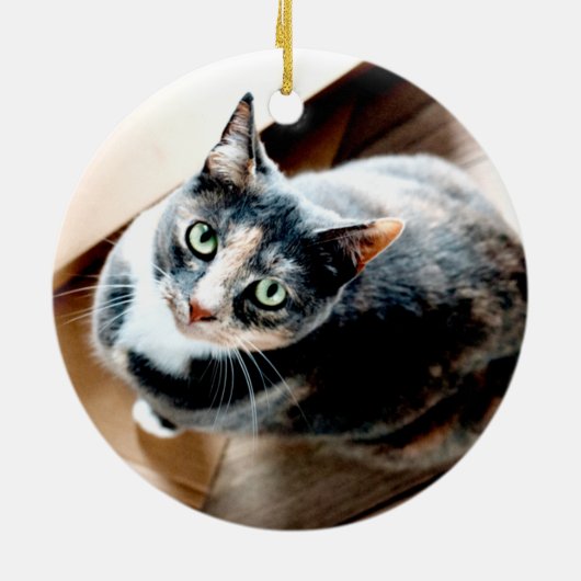 Aandenken aan Huisdier Kat of Hond Foto Keramisch Ornament (Achterkant)