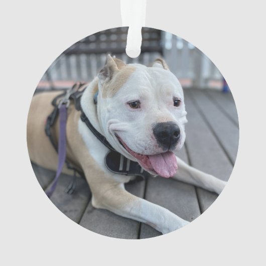 Aandenken aan huisdier met citaat en foto ornament (achterkant)