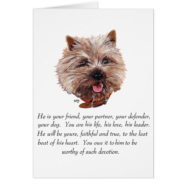 Aandenken Cairn Terrier - Mannelijk (Voorkant)