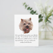 Aandenken Cairn Terrier - Reu Briefkaart (Staand voorkant)