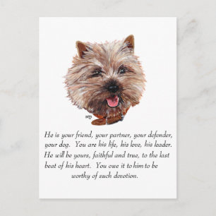 Aandenken Cairn Terrier - Reu Briefkaart