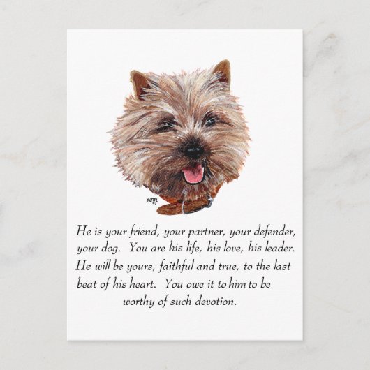 Aandenken Cairn Terrier - Reu Briefkaart (Voorkant)