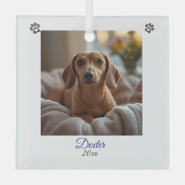 Aandenken Foto Dachshund Pootjes Personaliseer Glas Ornament